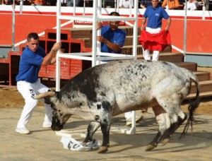 concurso_ganaderias