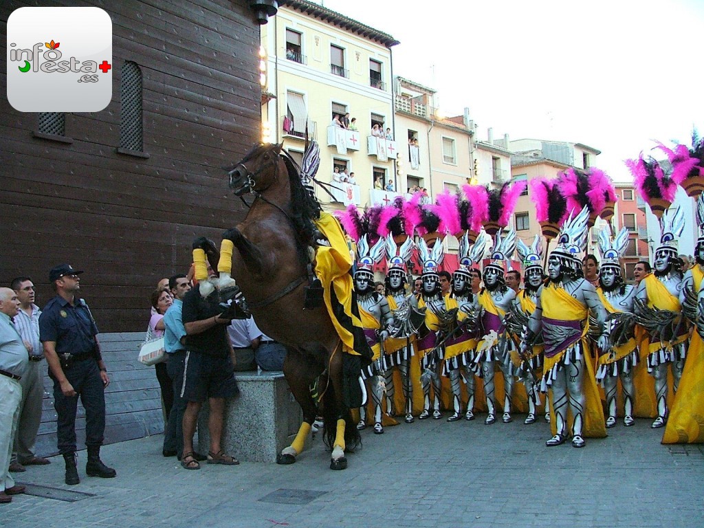 Finalista montado por Jose Rafael Llorens Montava Cocentaina 2005