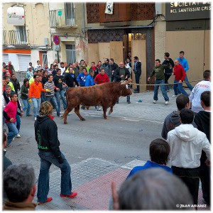 bou en corda ontinyent fotos juan alvarez infofesta (2)