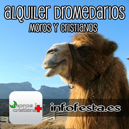 alquiler camellos dromedarios fiestas moros y cristianos