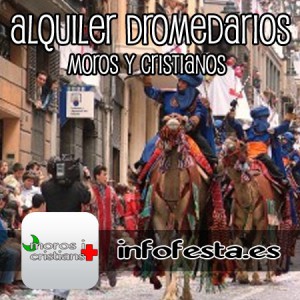 alquiler camellos dromedarios moros y cristianos