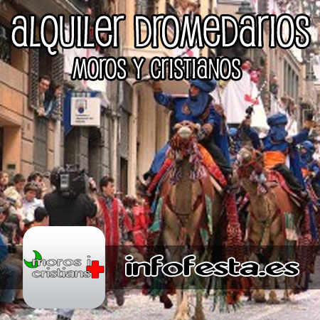 alquiler camellos dromedarios moros y cristianos